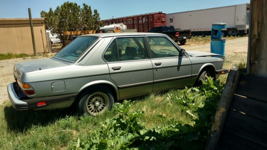 1988 BMW 528 - Gray