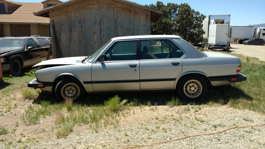 1988 BMW 528 - Gray